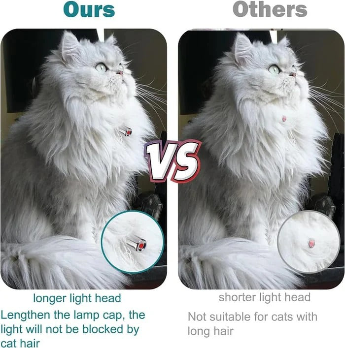 Laser-Spielhalsband für Katzen – Automatisch & Verstellbar