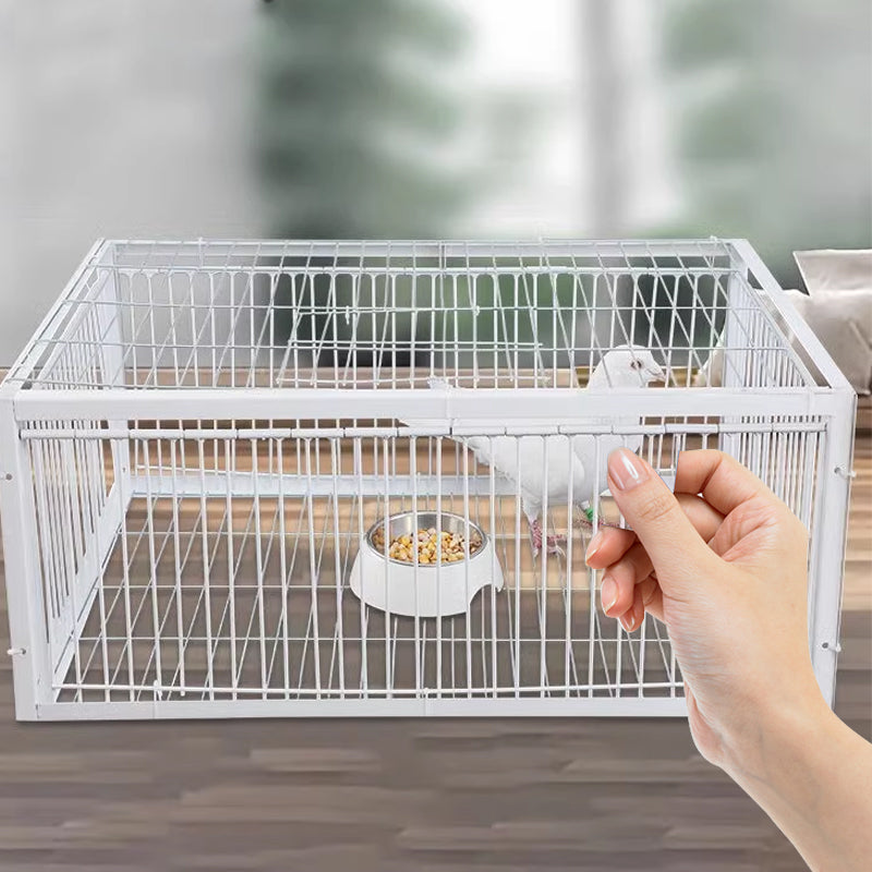 Tierschonende Vogelfalle – Rückschlagsicherung Stahl & Mehrfachfang